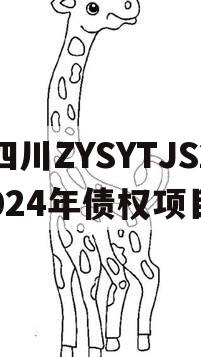 四川ZYSYTJS2024年债权项目