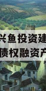 山东兴鱼投资建设2024年债权融资产品