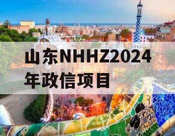 山东NHHZ2024年政信项目