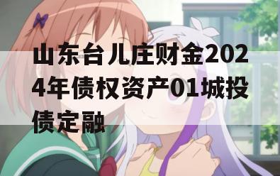 山东台儿庄财金2024年债权资产01城投债定融