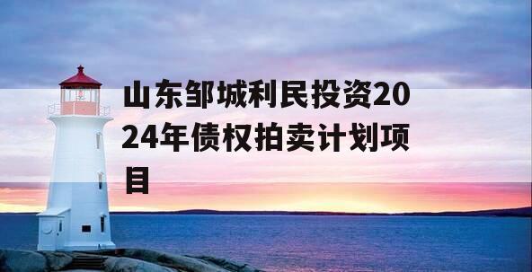 山东邹城利民投资2024年债权拍卖计划项目