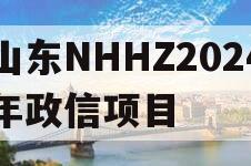 山东NHHZ2024年政信项目