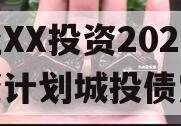 湖北XX投资2024融资计划城投债定融