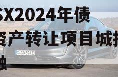 ZYSX2024年债权资产转让项目城投债定融