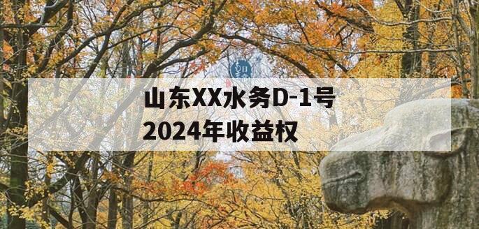 山东XX水务D-1号2024年收益权