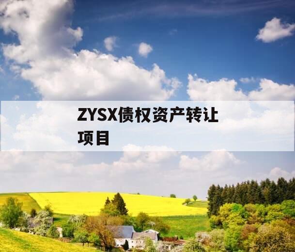 ZYSX债权资产转让项目