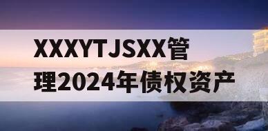 XXXYTJSXX管理2024年债权资产