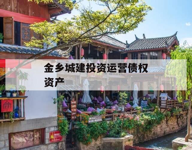 金乡城建投资运营债权资产