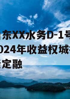 山东XX水务D-1号2024年收益权城投债定融