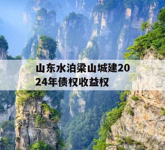 山东水泊梁山城建2024年债权收益权