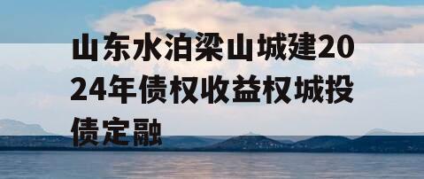 山东水泊梁山城建2024年债权收益权城投债定融