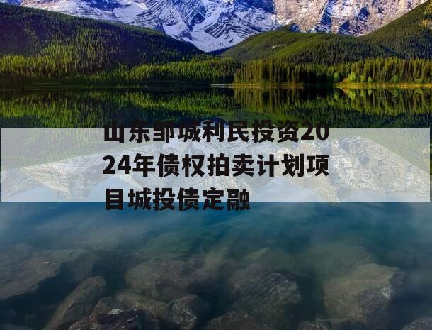 山东邹城利民投资2024年债权拍卖计划项目城投债定融