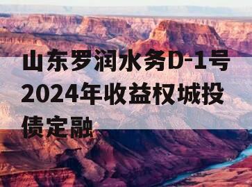 山东罗润水务D-1号2024年收益权城投债定融