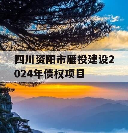 四川资阳市雁投建设2024年债权项目