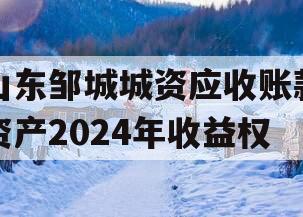 山东邹城城资应收账款资产2024年收益权