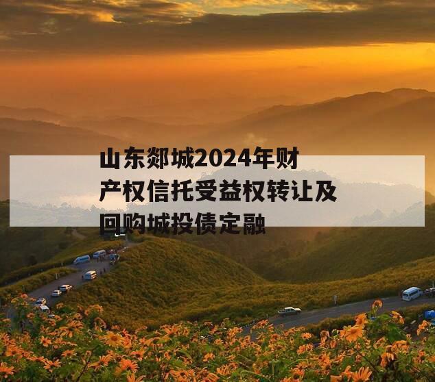 山东郯城2024年财产权信托受益权转让及回购城投债定融