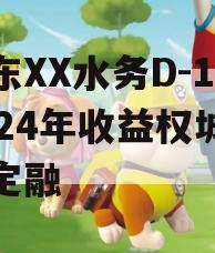 山东XX水务D-1号2024年收益权城投债定融