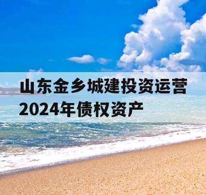 山东金乡城建投资运营2024年债权资产