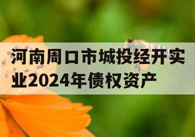 河南周口市城投经开实业2024年债权资产