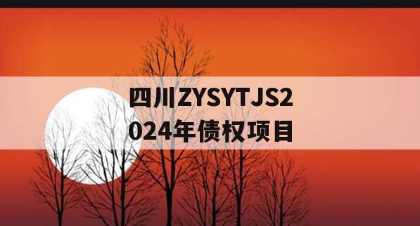 四川ZYSYTJS2024年债权项目