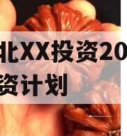 湖北XX投资2024融资计划