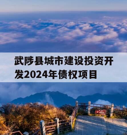 武陟县城市建设投资开发2024年债权项目