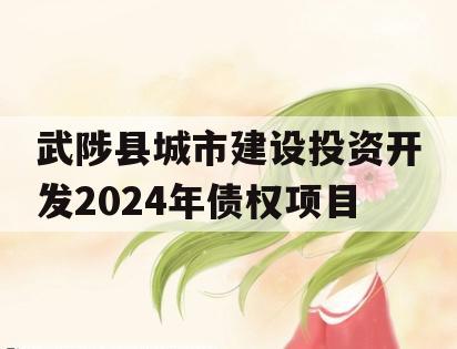 武陟县城市建设投资开发2024年债权项目