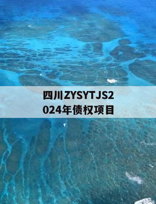 四川ZYSYTJS2024年债权项目