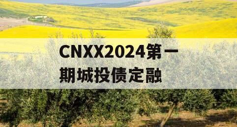 CNXX2024第一期城投债定融