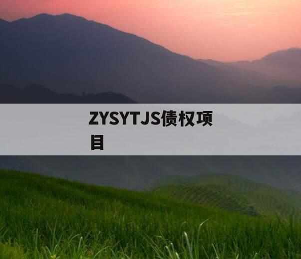 ZYSYTJS债权项目