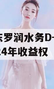 山东罗润水务D-1号2024年收益权