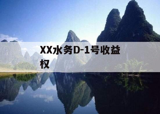 XX水务D-1号收益权