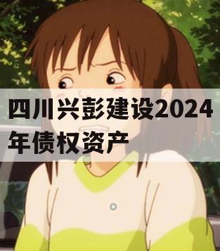 四川兴彭建设2024年债权资产