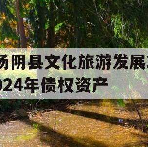 汤阴县文化旅游发展2024年债权资产