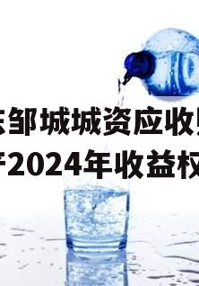 山东邹城城资应收账款资产2024年收益权