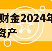 DY财金2024年债权资产