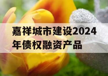 嘉祥城市建设2024年债权融资产品