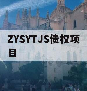 ZYSYTJS债权项目