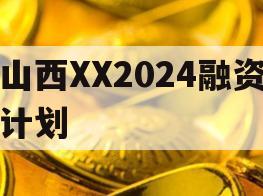 山西XX2024融资计划