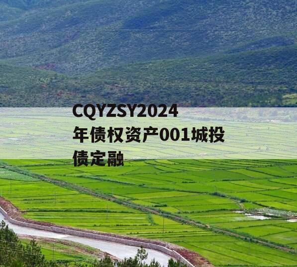 CQYZSY2024年债权资产001城投债定融