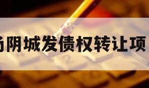 汤阴城发债权转让项目