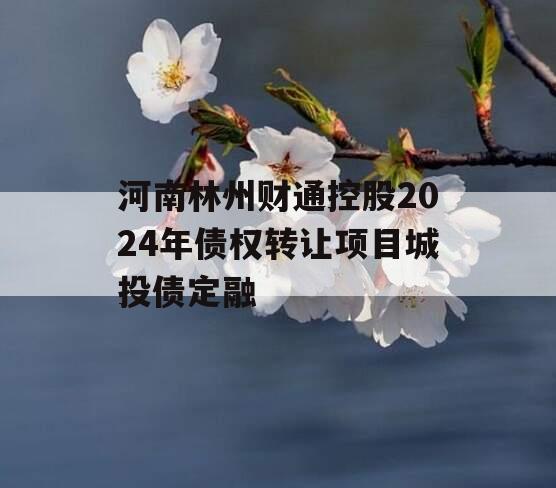 河南林州财通控股2024年债权转让项目城投债定融