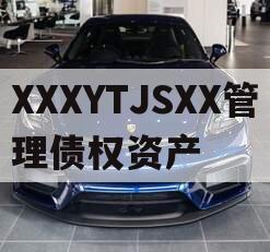 XXXYTJSXX管理债权资产