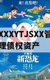 XXXYTJSXX管理债权资产