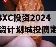 HBXC投资2024融资计划城投债定融