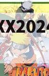 山西XX2024融资计划