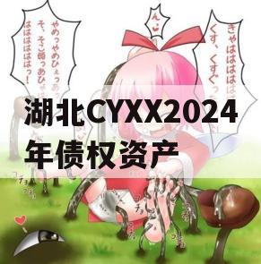 湖北CYXX2024年债权资产