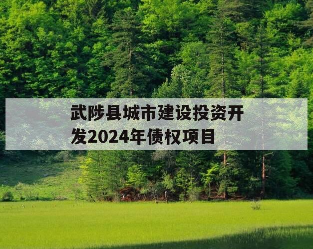 武陟县城市建设投资开发2024年债权项目