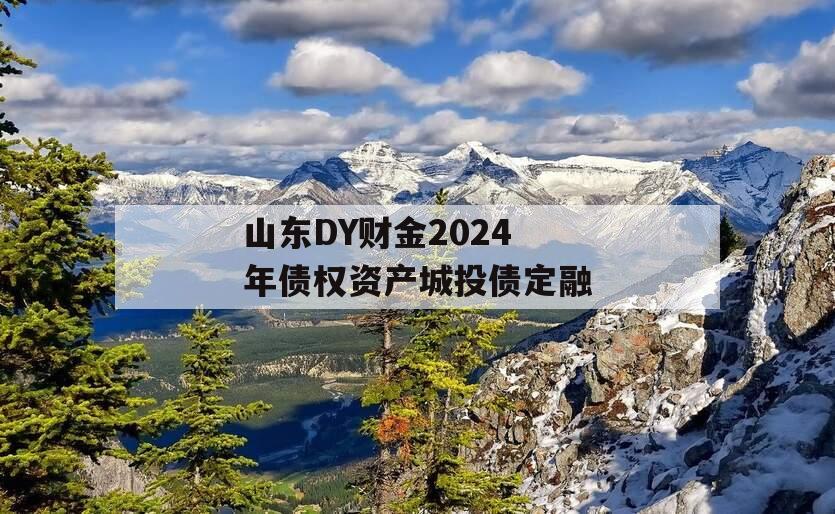 山东DY财金2024年债权资产城投债定融