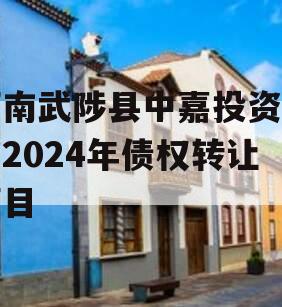 河南武陟县中嘉投资运营2024年债权转让项目